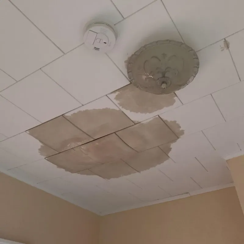 Ceiling Water Damage Repair in Worthington, OH