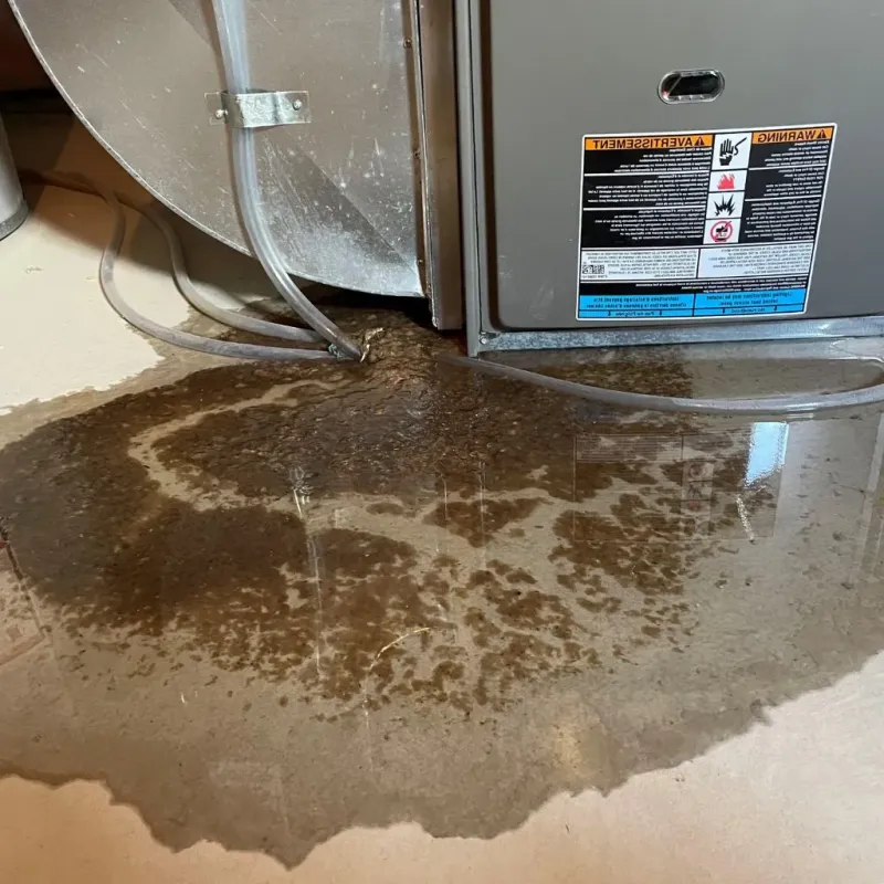 Pipe Burst and Leak Restoration in Worthington, OH