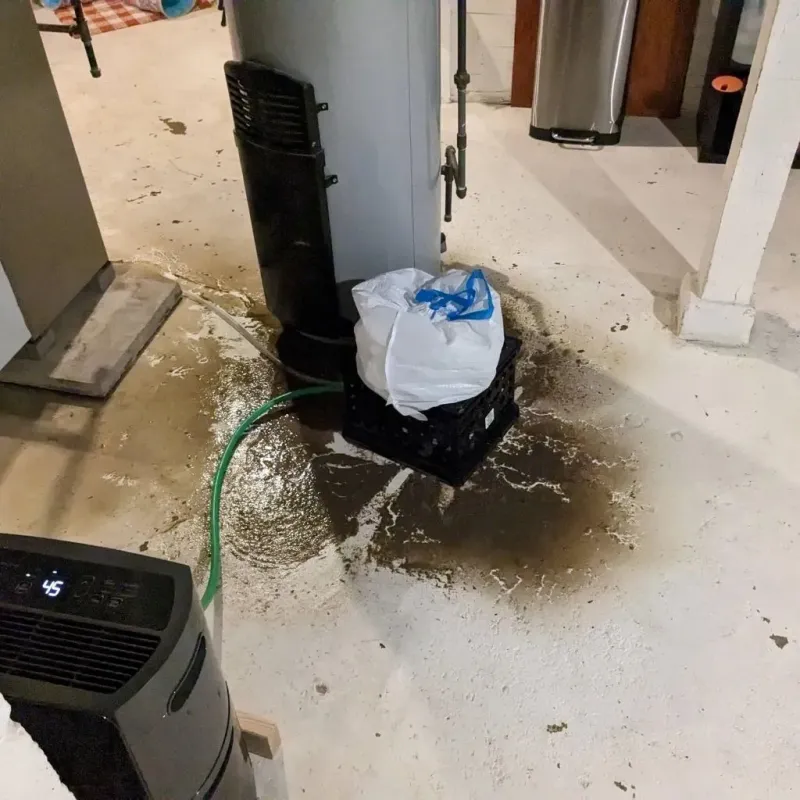 Sewage Backup Cleanup Service in Worthington, OH
